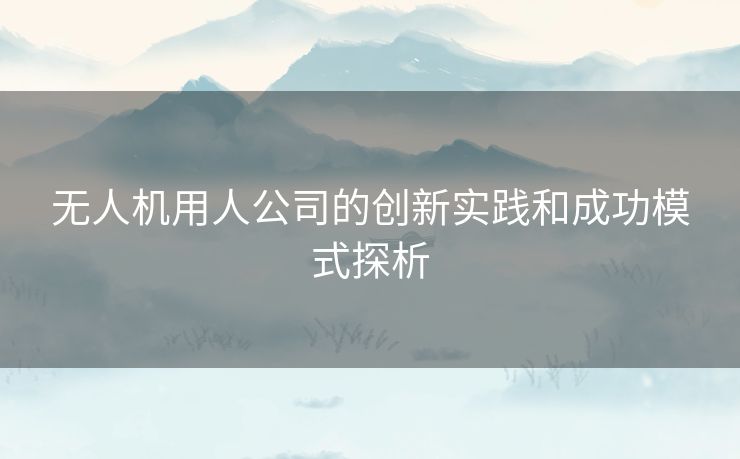 无人机用人公司的创新实践和成功模式探析