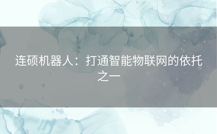 连硕机器人：打通智能物联网的依托之一