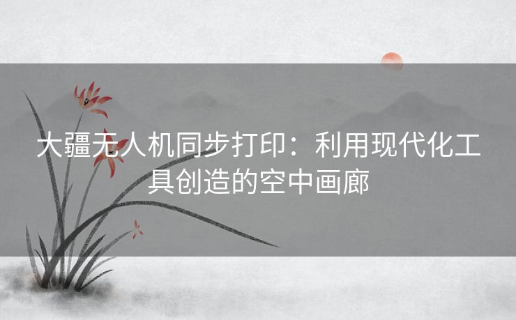 大疆无人机同步打印：利用现代化工具创造的空中画廊