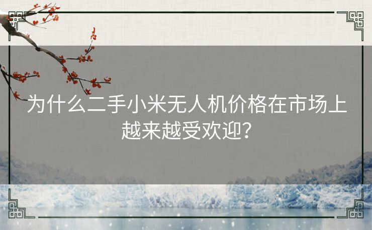 为什么二手小米无人机价格在市场上越来越受欢迎？