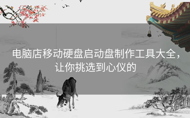 电脑店移动硬盘启动盘制作工具大全，让你挑选到心仪的