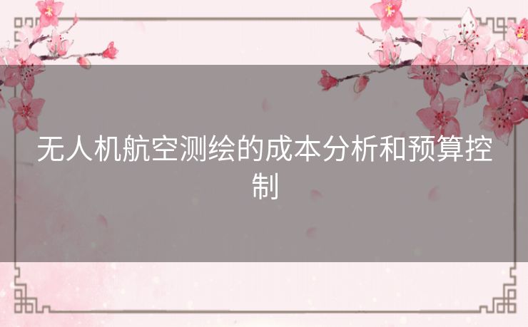 无人机航空测绘的成本分析和预算控制