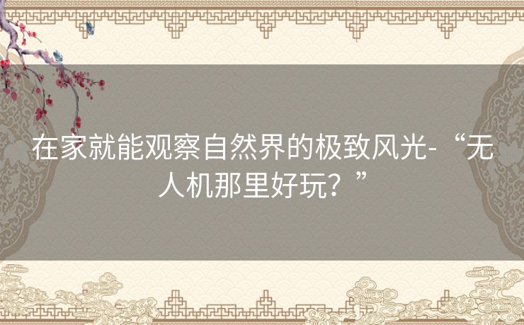 在家就能观察自然界的极致风光-“无人机那里好玩？”