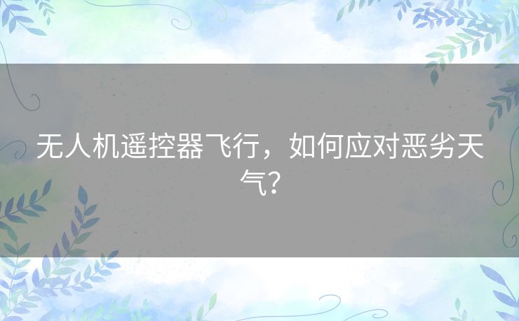 无人机遥控器飞行，如何应对恶劣天气？