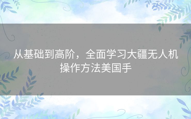 从基础到高阶，全面学习大疆无人机操作方法美国手