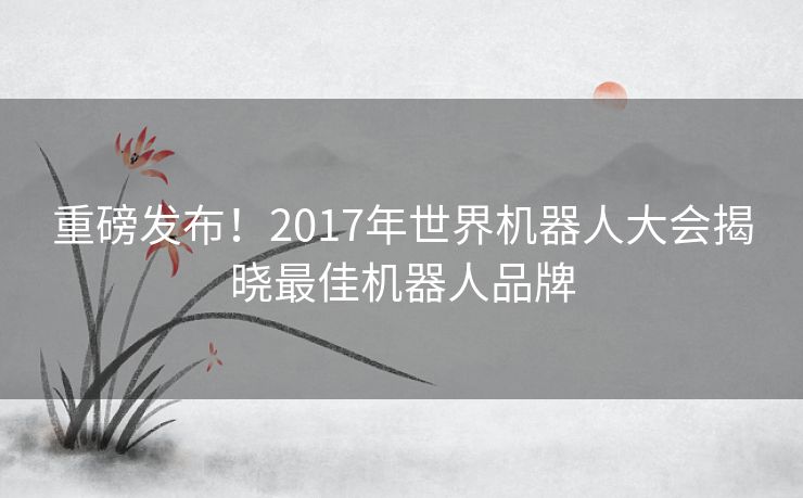 重磅发布！2017年世界机器人大会揭晓最佳机器人品牌