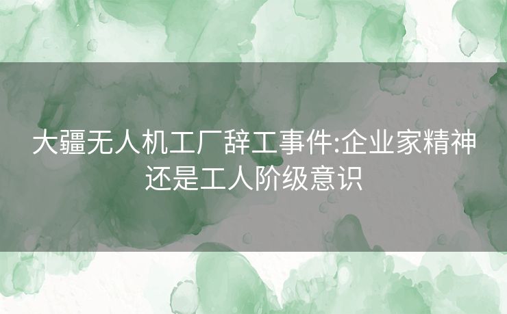 大疆无人机工厂辞工事件:企业家精神还是工人阶级意识