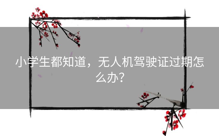 小学生都知道，无人机驾驶证过期怎么办？