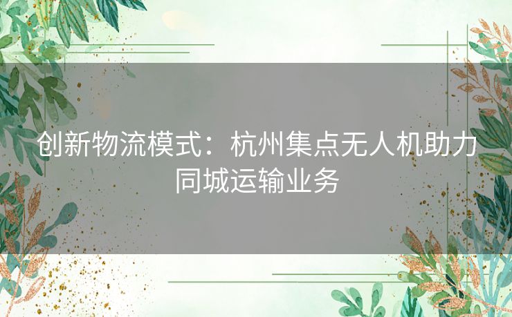 创新物流模式：杭州集点无人机助力同城运输业务