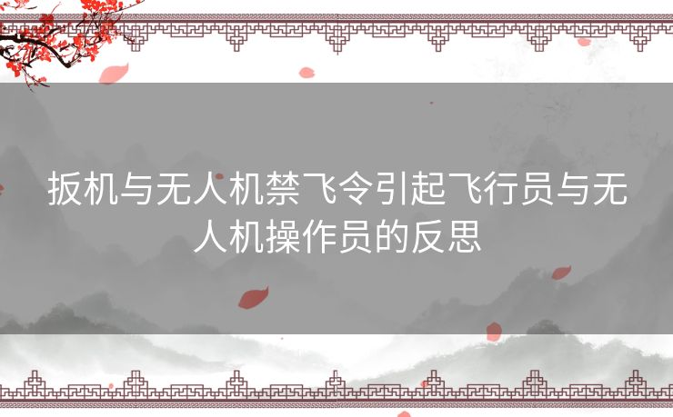 扳机与无人机禁飞令引起飞行员与无人机操作员的反思