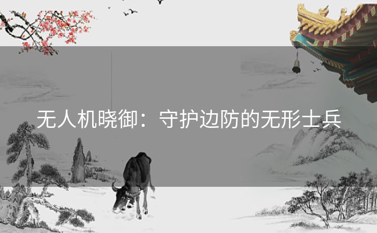 无人机晓御：守护边防的无形士兵