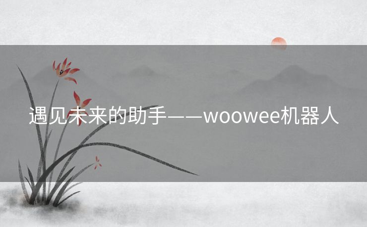 遇见未来的助手——woowee机器人