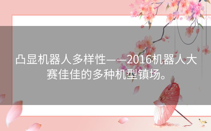 凸显机器人多样性——2016机器人大赛佳佳的多种机型镇场。