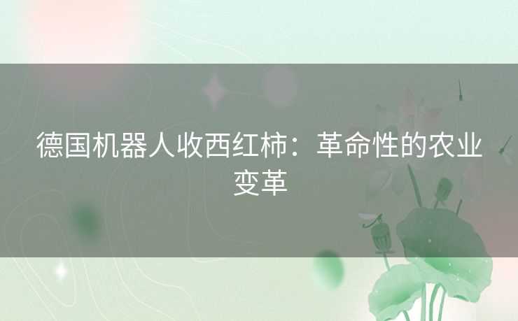 德国机器人收西红柿：革命性的农业变革