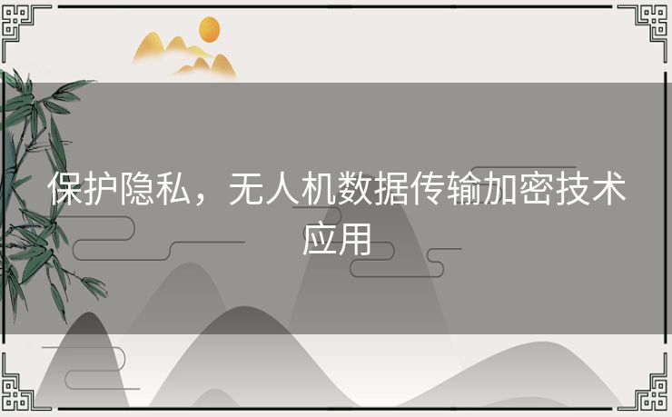 保护隐私，无人机数据传输加密技术应用