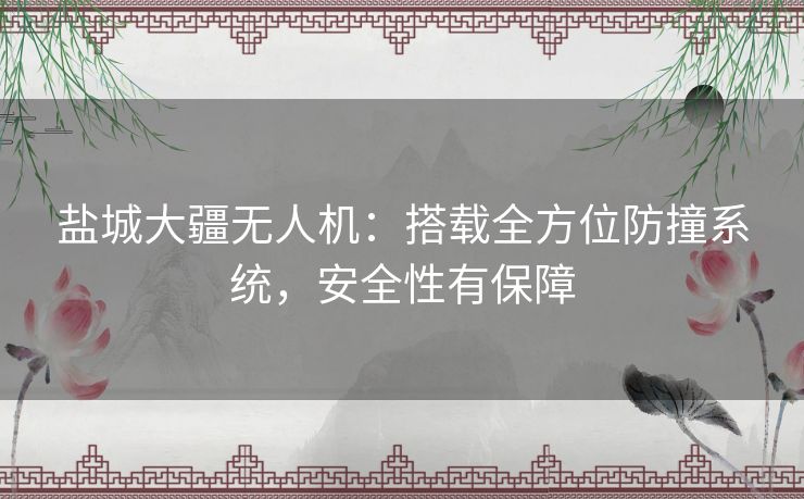 盐城大疆无人机：搭载全方位防撞系统，安全性有保障