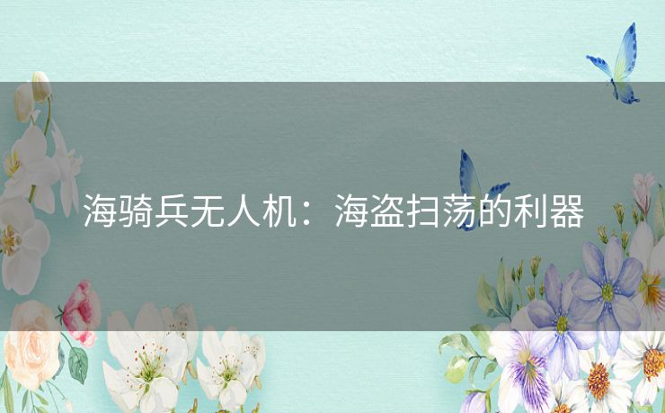 海骑兵无人机：海盗扫荡的利器