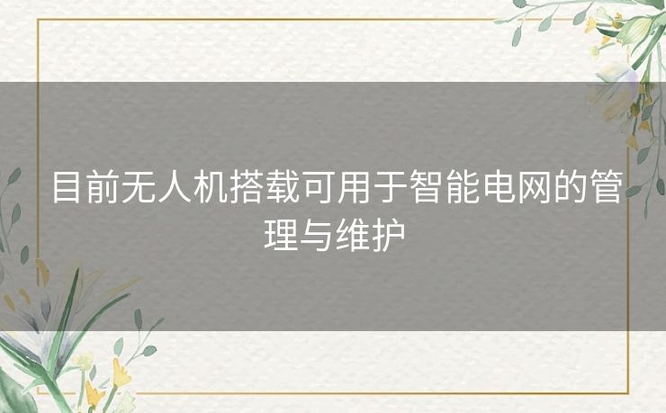 目前无人机搭载可用于智能电网的管理与维护