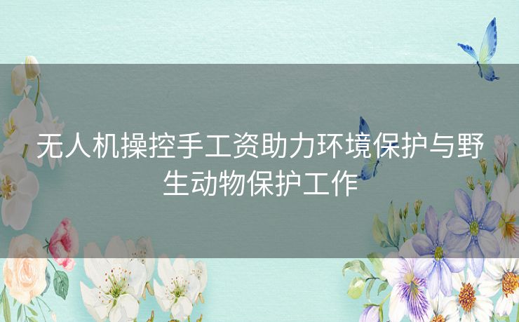 无人机操控手工资助力环境保护与野生动物保护工作