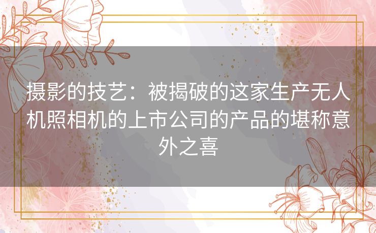 摄影的技艺：被揭破的这家生产无人机照相机的上市公司的产品的堪称意外之喜