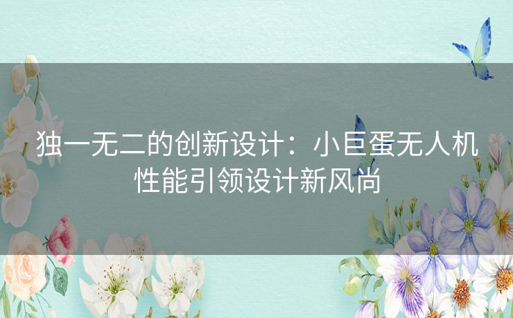 独一无二的创新设计：小巨蛋无人机性能引领设计新风尚