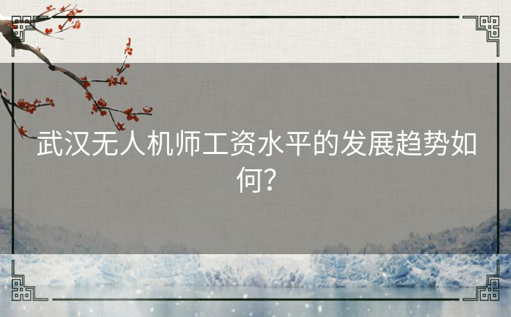 武汉无人机师工资水平的发展趋势如何？