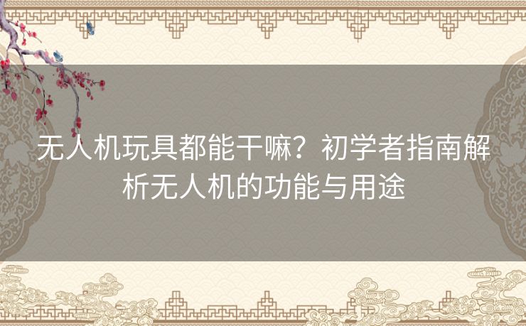 无人机玩具都能干嘛？初学者指南解析无人机的功能与用途