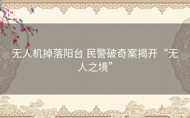 无人机掉落阳台 民警破奇案揭开“无人之境”