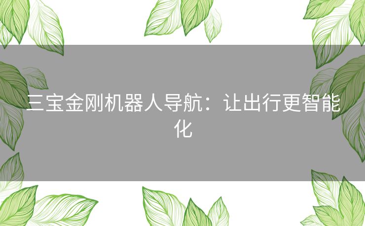 三宝金刚机器人导航：让出行更智能化