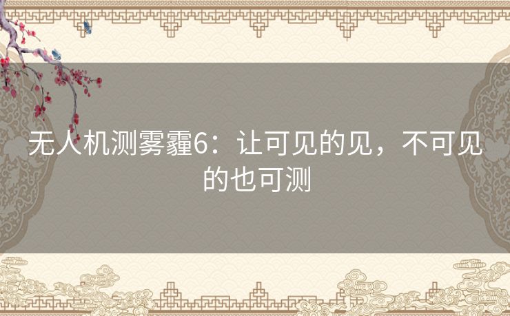 无人机测雾霾6：让可见的见，不可见的也可测