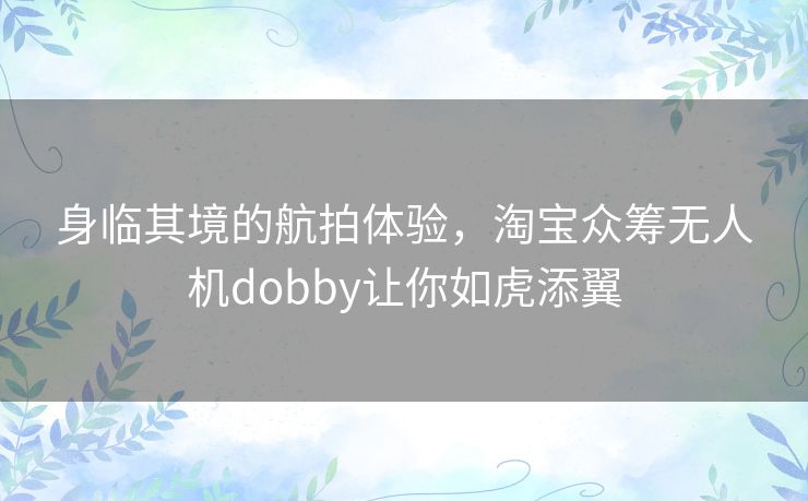 身临其境的航拍体验，淘宝众筹无人机dobby让你如虎添翼