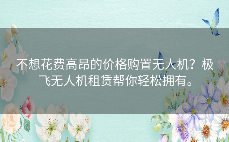 不想花费高昂的价格购置无人机？极飞无人机租赁帮你轻松拥有。