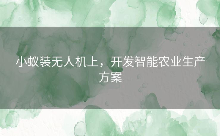 小蚁装无人机上，开发智能农业生产方案