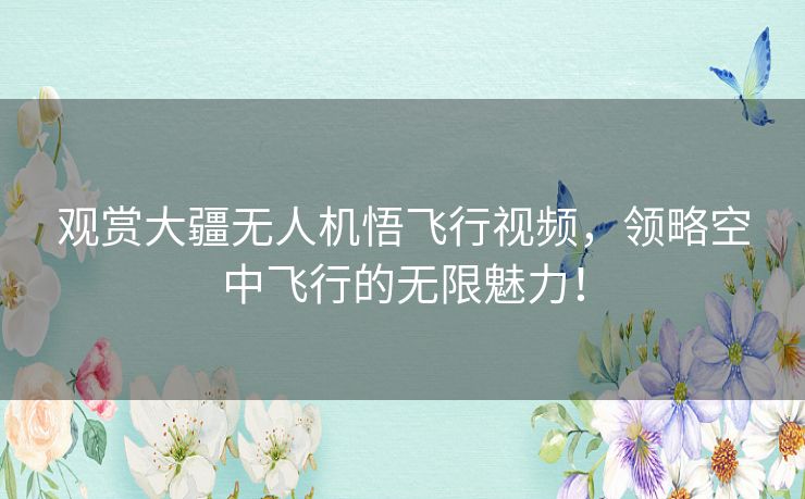 观赏大疆无人机悟飞行视频，领略空中飞行的无限魅力！