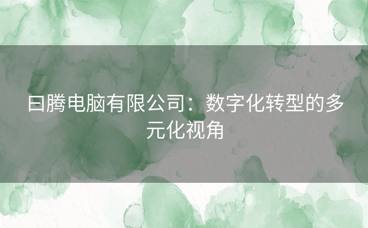 曰腾电脑有限公司：数字化转型的多元化视角