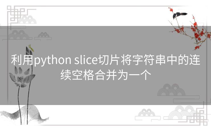 利用python slice切片将字符串中的连续空格合并为一个