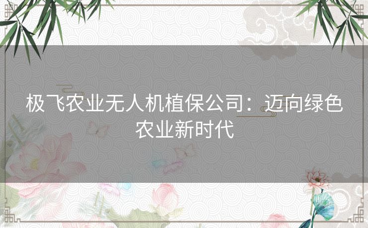 极飞农业无人机植保公司：迈向绿色农业新时代