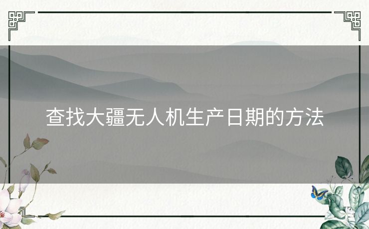 查找大疆无人机生产日期的方法