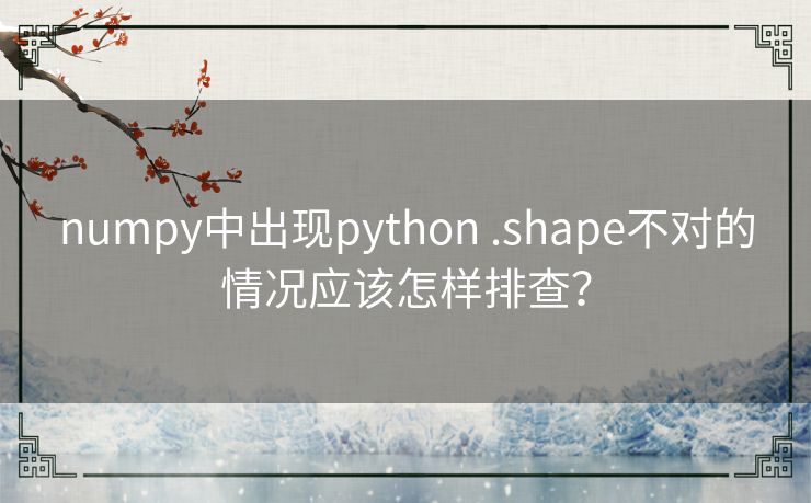 numpy中出现python .shape不对的情况应该怎样排查？