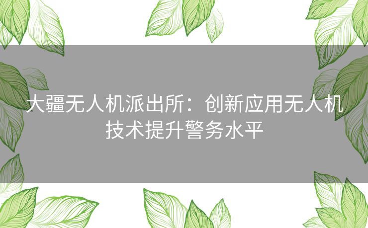 大疆无人机派出所：创新应用无人机技术提升警务水平