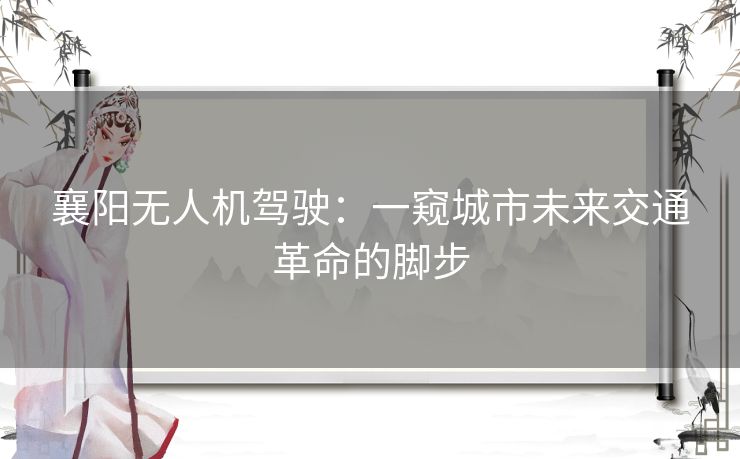 襄阳无人机驾驶：一窥城市未来交通革命的脚步