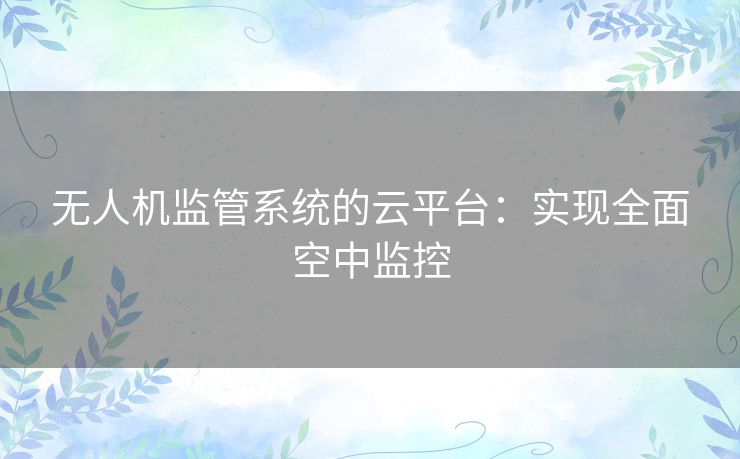 无人机监管系统的云平台：实现全面空中监控