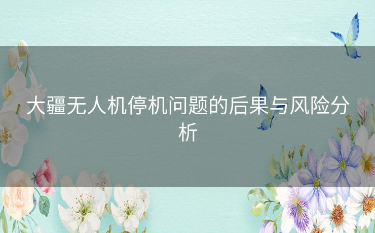 大疆无人机停机问题的后果与风险分析