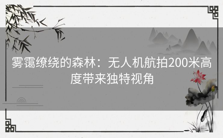 雾霭缭绕的森林：无人机航拍200米高度带来独特视角