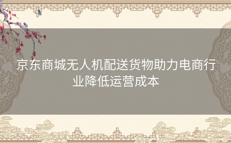 京东商城无人机配送货物助力电商行业降低运营成本