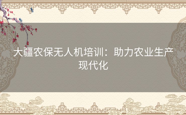 大疆农保无人机培训：助力农业生产现代化