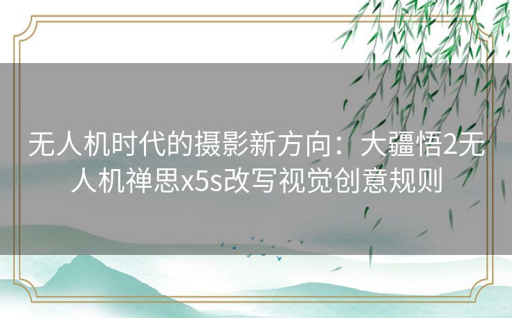 无人机时代的摄影新方向：大疆悟2无人机禅思x5s改写视觉创意规则