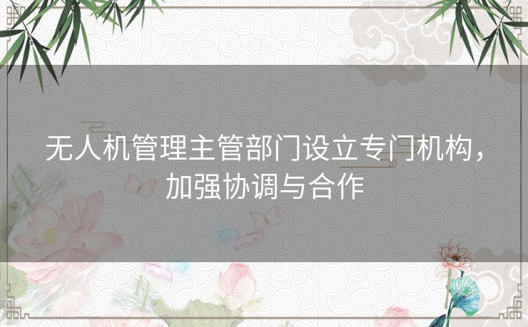 无人机管理主管部门设立专门机构，加强协调与合作