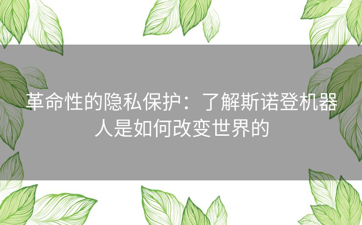 革命性的隐私保护：了解斯诺登机器人是如何改变世界的