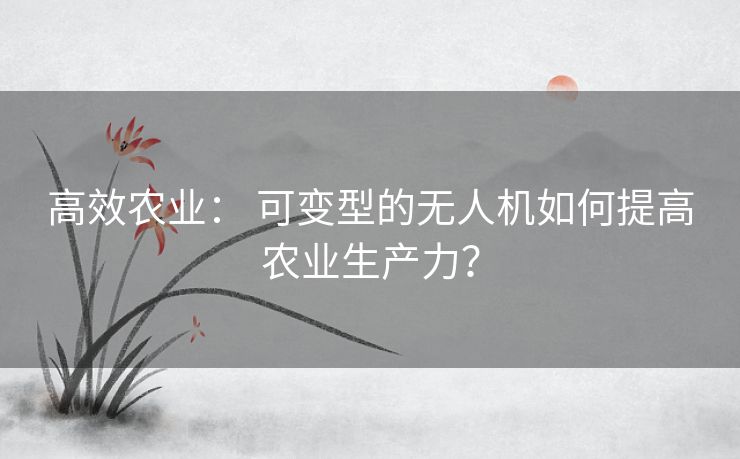 高效农业： 可变型的无人机如何提高农业生产力？